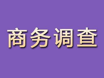 莆田商务调查